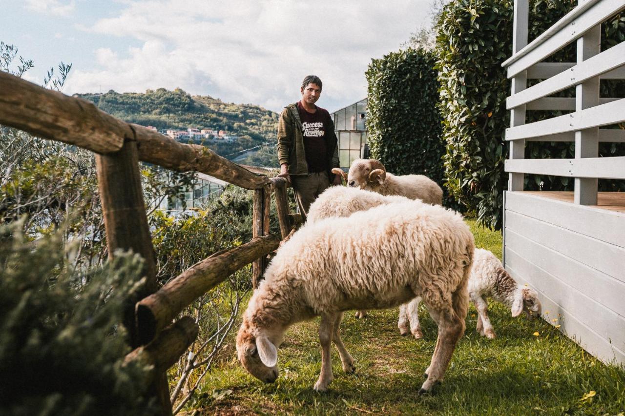 Agriturismo Rose Di Pietra Pietra Ligure Zewnętrze zdjęcie