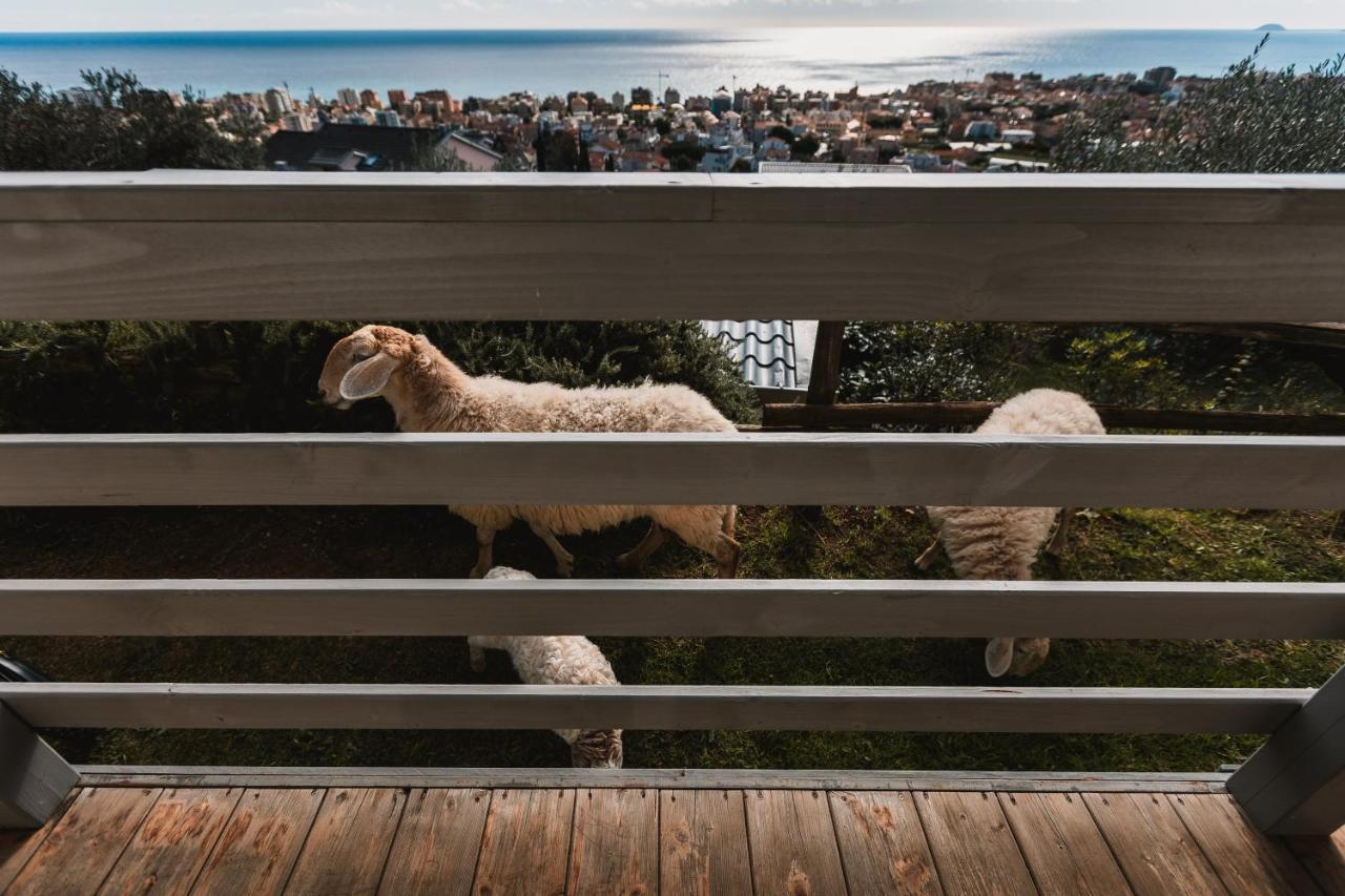 Agriturismo Rose Di Pietra Pietra Ligure Zewnętrze zdjęcie