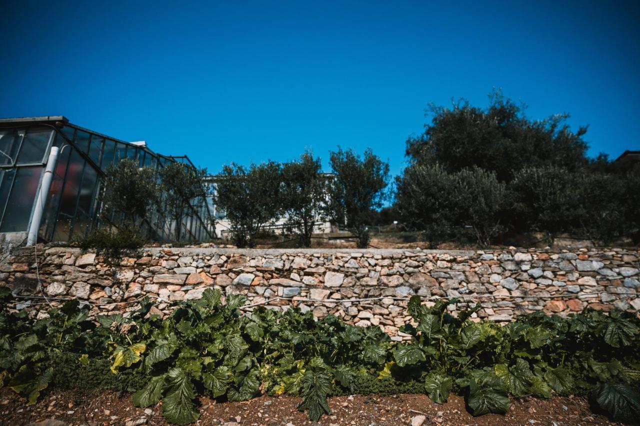 Agriturismo Rose Di Pietra Pietra Ligure Zewnętrze zdjęcie