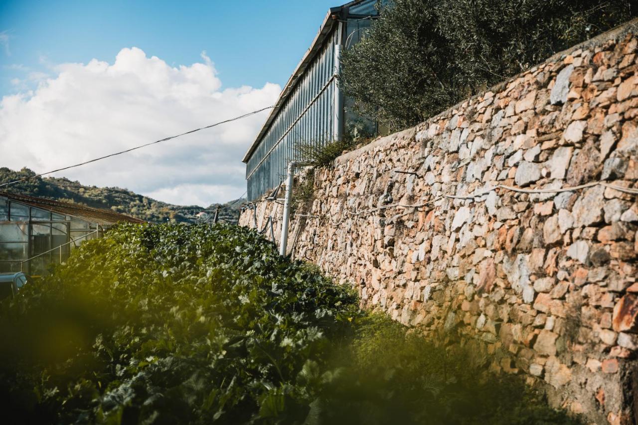 Agriturismo Rose Di Pietra Pietra Ligure Zewnętrze zdjęcie